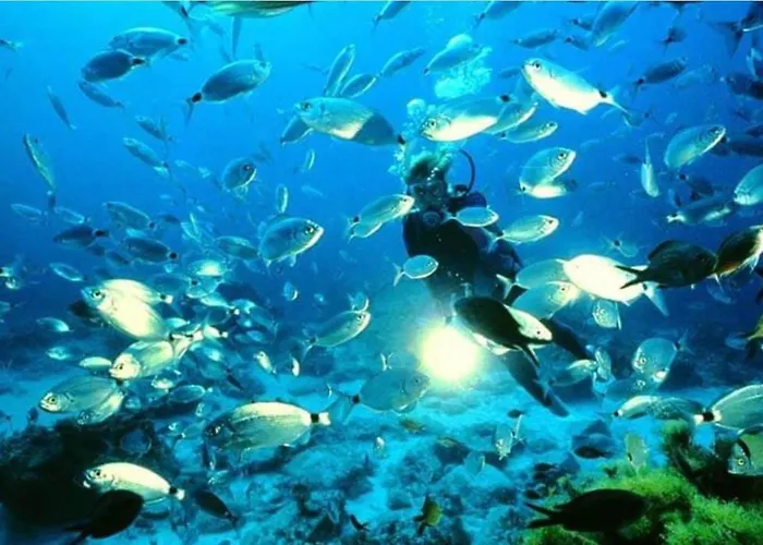 Appartement Estudio Jimena Carabeo En El Centro De